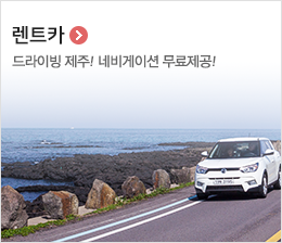 렌트카