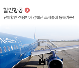 할인항공